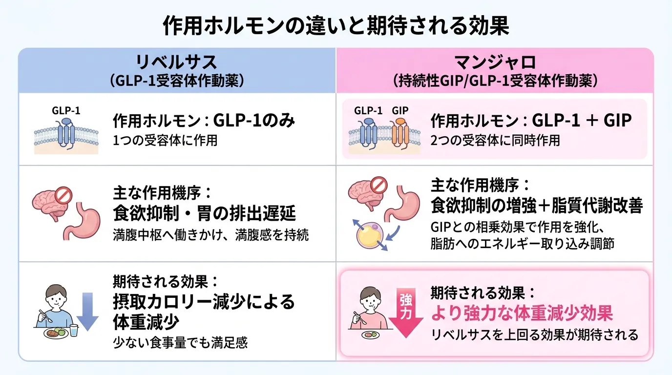 作用ホルモンの違いと期待される効果を、リベルサス（GLP-1受容体作動薬）とマンジャロ（持続性GIP/GLP-1受容体作動薬）で比べた表。作用ホルモン、主な作用機序、期待される効果の3項目が並んでいる。