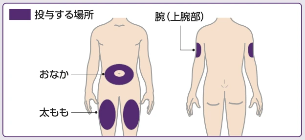 投与部位